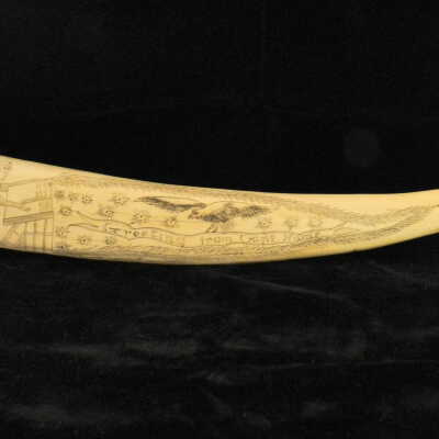 Scrimshaw
