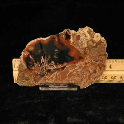 Plume Agate