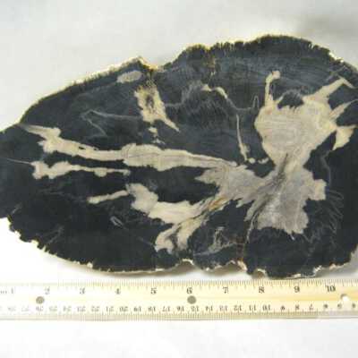 Limb Cast