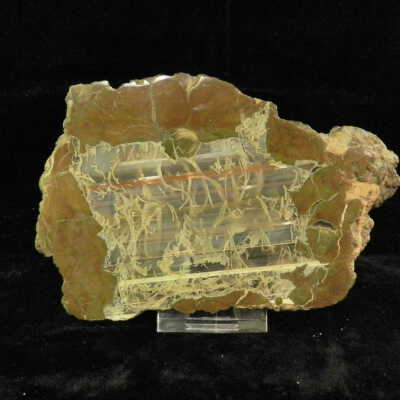 Thunderegg