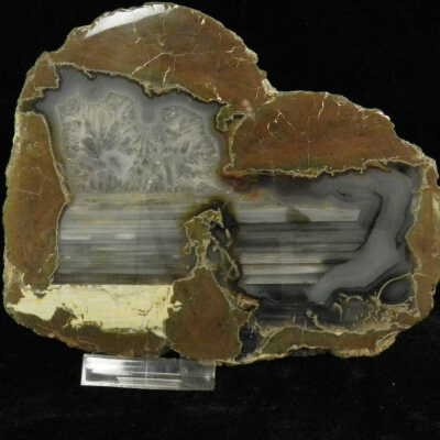Thunderegg (double)