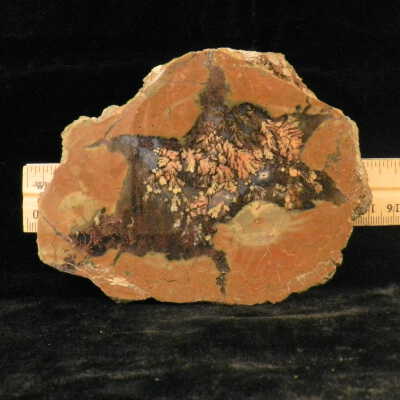 Plume Agate