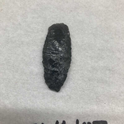 Projectile Point