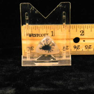 Dendritic Agate