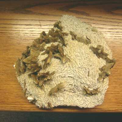 Muscovite / Albite