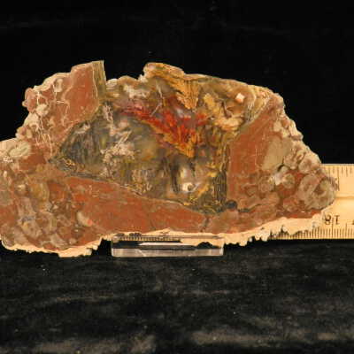 Plume Agate