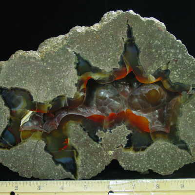 Thunderegg