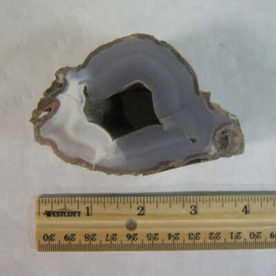 Limb Cast