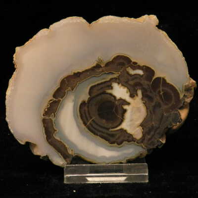 Quartz var. Agate