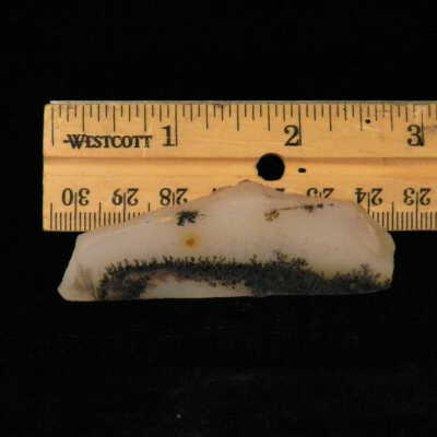 Dendritic Agate