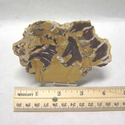 Limb Cast