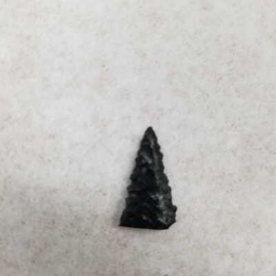 Projectile Point Fragment Distal