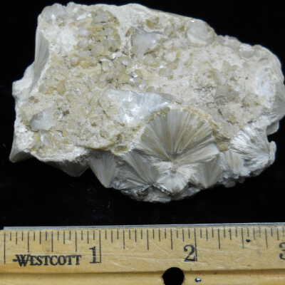 Pectolite