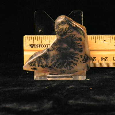 Dendritic Agate