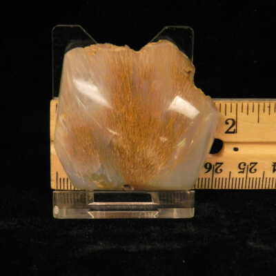 Quartz var. Agate (sagenite)