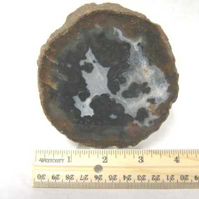 Limb Cast