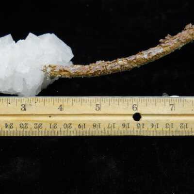Halite