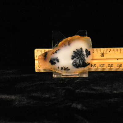 Dendritic Agate