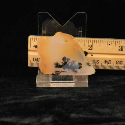 Dendritic Agate