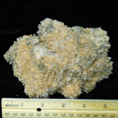 Creedite