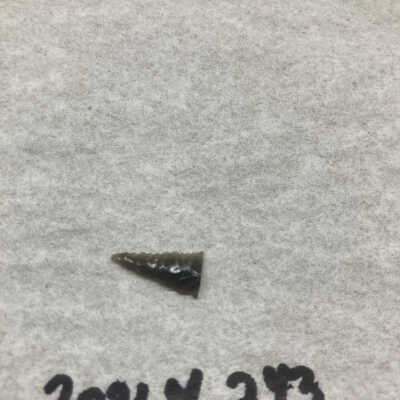 Projectile Point Fragment Distal