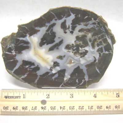 Limb Cast
