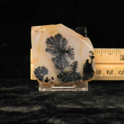 Dendritic Agate