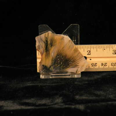 Quartz var. Agate (sagenite)