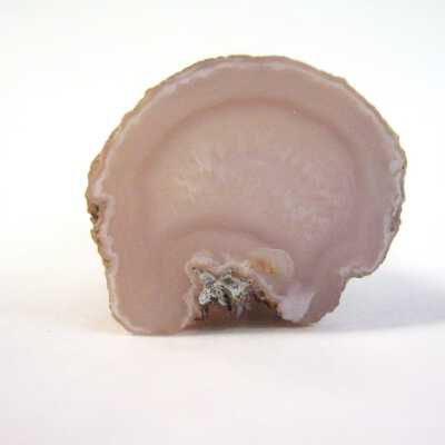 limb cast