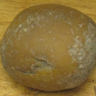 Hammer