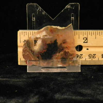 Plume Agate