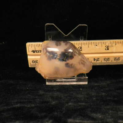 Dendritic Agate