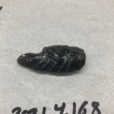 Projectile Point