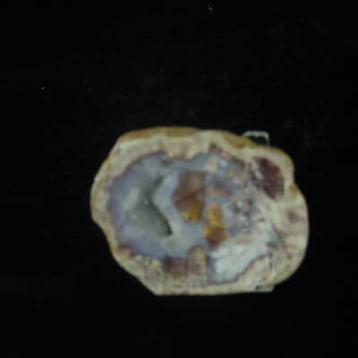Thunderegg