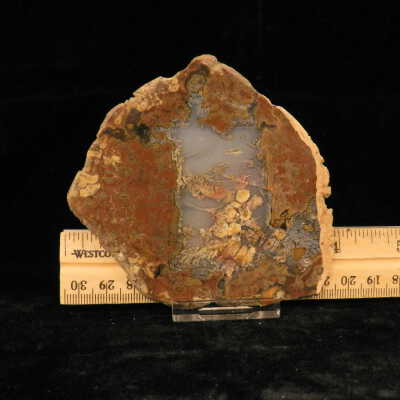 Plume Agate