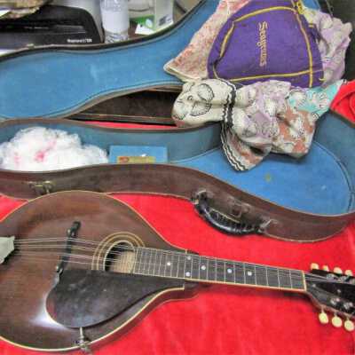 Gibson A2 Mandolin 2
