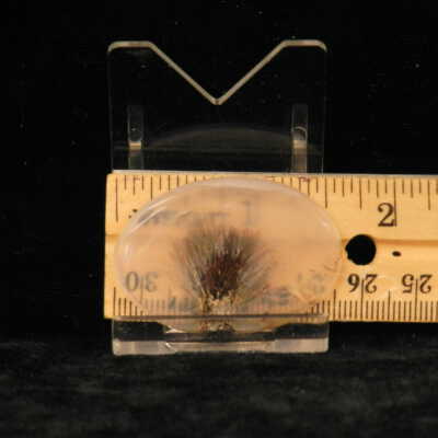 Quartz var. Agate (sagenite)