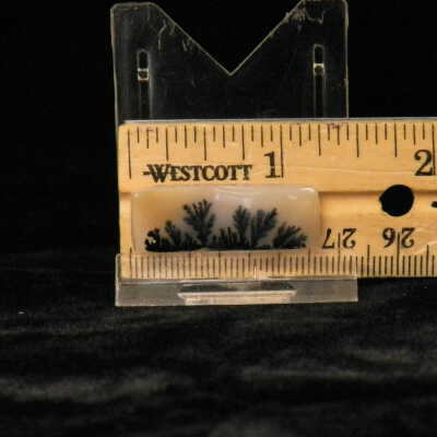 Dendritic Agate