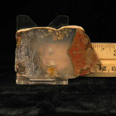 Quartz var. Agate (sagenite)
