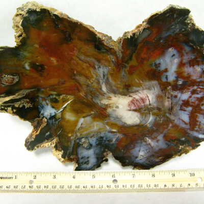 White Pine