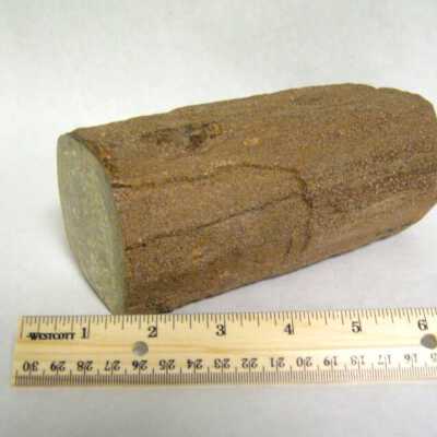 Limb Cast