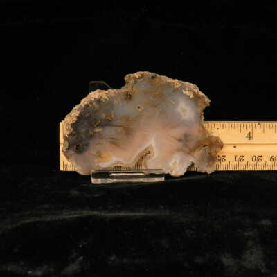 Quartz var. Agate (sagenite)