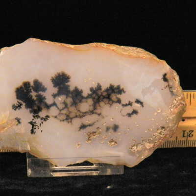 Dendritic Agate
