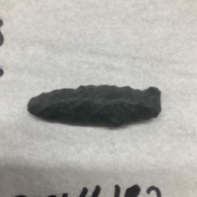 Projectile Point