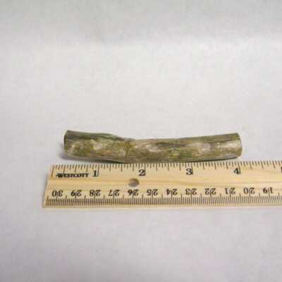 Petrified Wood