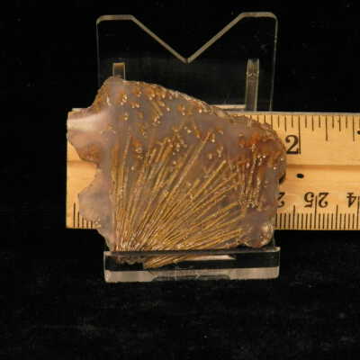 Quartz var. Agate (sagenite)
