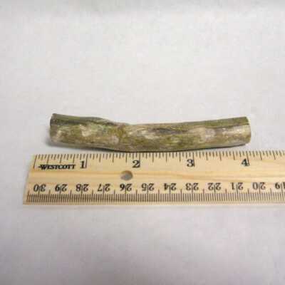 Limb Cast