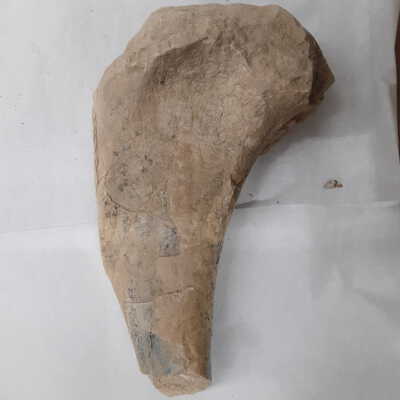 Proximal half