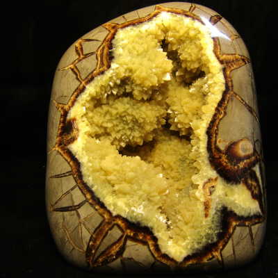 Septarian Nodule