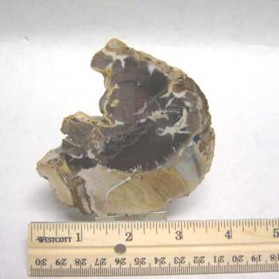 Roxy Ann Limb Cast